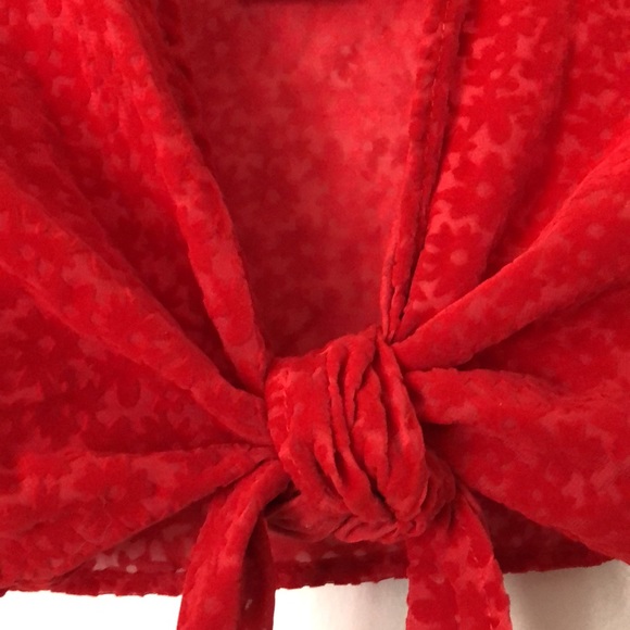 NWT Wild Fable Target Red Suede Floral Translucent Tie Crop Top Long Sleeves - S - Picture 11 of 12